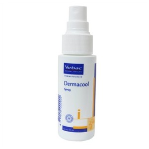 Afbeelding Dermacool Hot-spot Spray - 50 ml door Brekz.nl