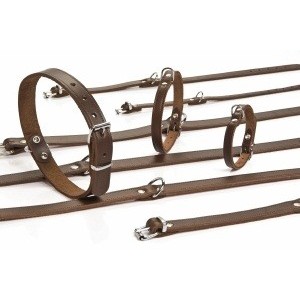 Leren Halsbanden 47 cm voor de hond Zwart Leren Halsbanden 47 cm voor de hond Zwart
