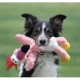 Kong Wild Knots voor de hond