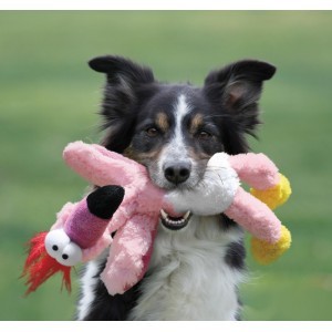 Kong Wild Knots voor de hond