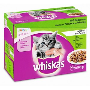 Afbeelding Whiskas Pouch Junior in Gelei 1 doosje door Brekz.nl