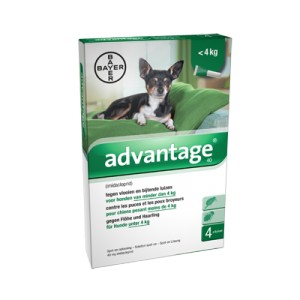 Advantage Nr. 40, vlooienmiddel voor honden per verpakking