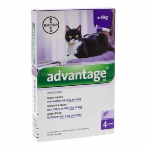 Advantage Nr. 80, Vlooienmiddel voor katten 2 stuks