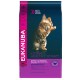 Eukanuba Kitten kip kattenvoer