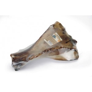 Beeztees Runderschouderblad voor de hond Per stuk online kopen
