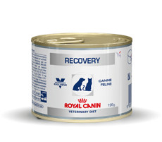 prachtig Investeren doorgaan Royal Canin Veterinary Diet Recovery hond en kat