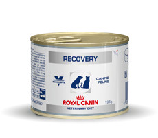 Royal Canin Veterinary Diet Recovery blik hond en kat