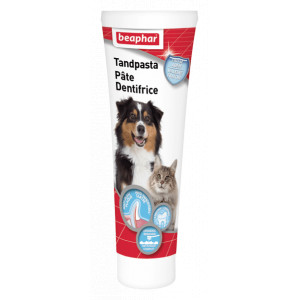 Afbeelding Beaphar Tandpasta voor hond en kat 1 Tube door Brekz.nl