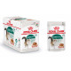 Royal Canin Instinctive 7+ kattenvoer in gravy 12 zakjes