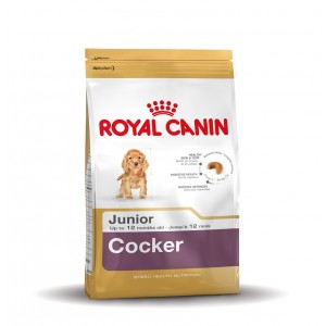 Afbeelding Royal Canin Junior Cocker Spaniel hondenvoer 3 kg door Brekz.nl