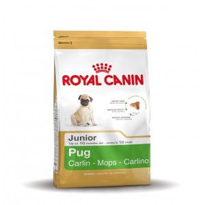 Afbeelding Royal Canin Junior Pug (mopshond) hondenvoer 1.5 kg door Brekz.nl