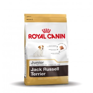 Afbeelding Royal Canin Jack Russell Terriër Junior hondenvoer 3 kg door Brekz.nl