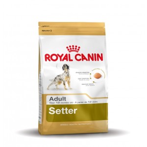 Royal Canin Ierse Setter 2 x 12 kg