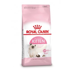 Royal Canin Kitten 36 kattenvoer 2 x 10 kg Royal Canin Kitten 36 kattenvoer 2 x 10 kg