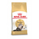 Royal Canin Adult Persian kattenvoer