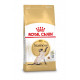 Royal Canin Adult Siamese kattenvoer