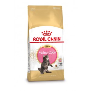 Afbeelding Royal Canin Kitten Maine Coon kattenvoer 10 kg door Brekz.nl