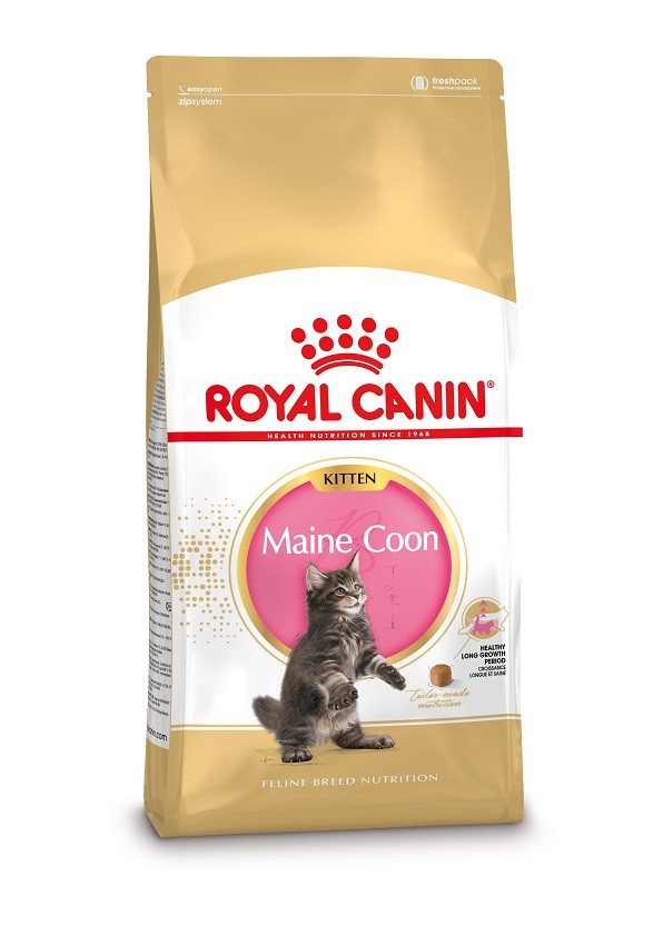 Afbeelding van 2 x 10 kg Royal Canin Kitten Maine Coon kattenvoer