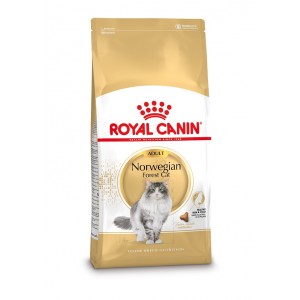 Afbeelding Royal Canin Adult Norwegian Forest Cat kattenvoer 10 kg door Brekz.nl