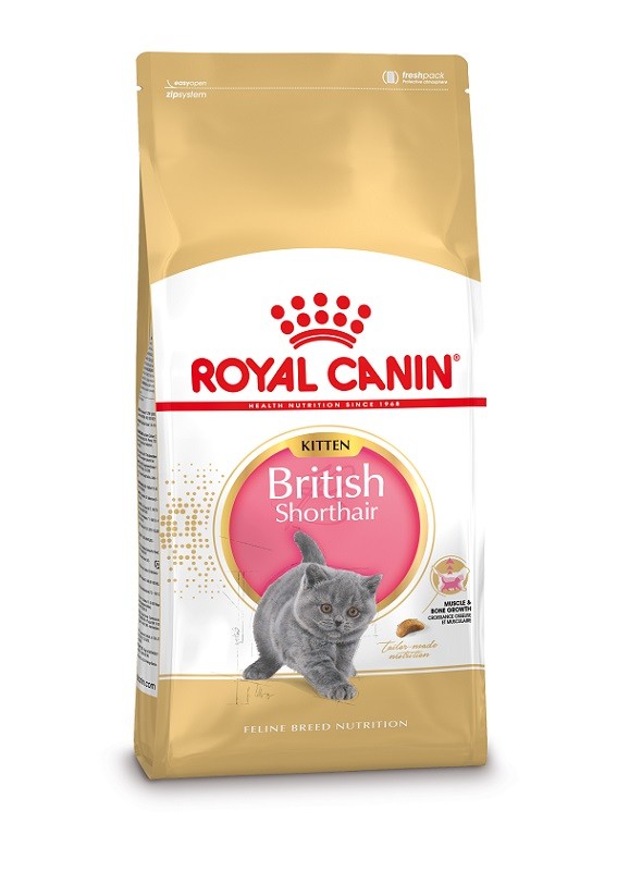 Afbeelding van 2 x 10 kg Royal Canin Kitten British Shorthair kattenvoer