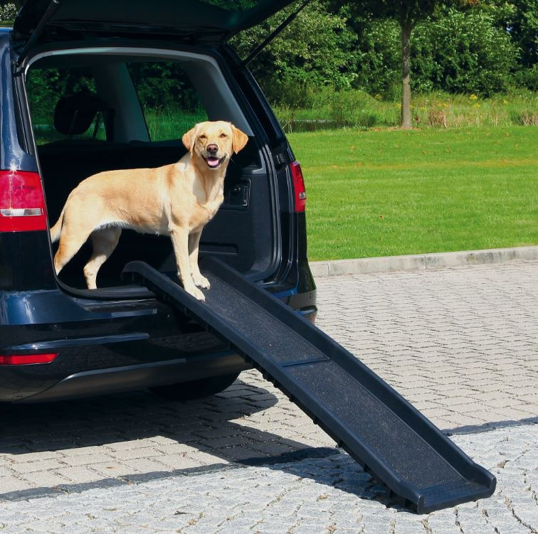 loopplank hond auto