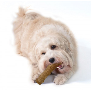 Petstages Dogwood Stick voor honden
