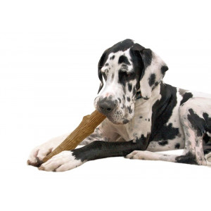 Petstages Dogwood Stick voor honden