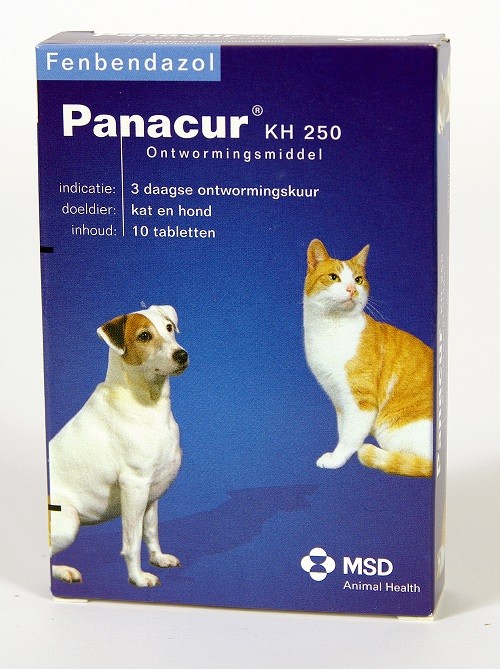 Panacur 250 Ontwormingsmiddel voor hond en kat