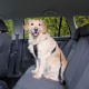 Wandel- en Autoharnas met Gordel voor de hond