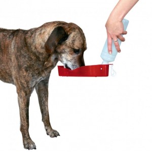 Drinkfles voor onderweg voor de hond