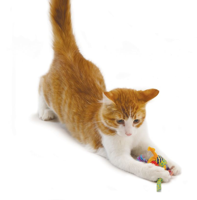 Petstages Tons of Tails voor katten