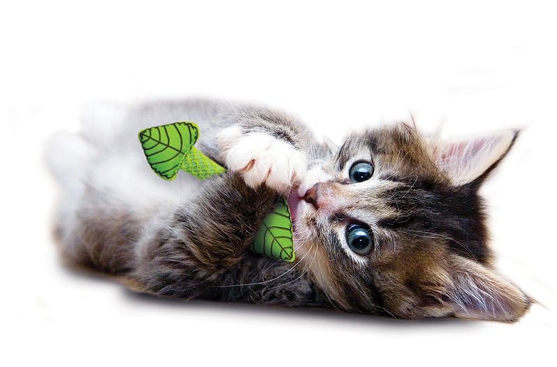 Petstages Mint Stick voor katten