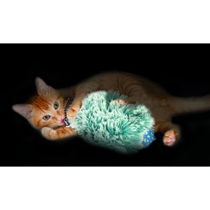 Afbeelding Petstages Nighttime Cuddle Toy voor katten Per stuk door Brekz.nl