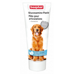 Afbeelding Beaphar Glucosamine Pasta voor de hond 250 ml door Brekz.nl