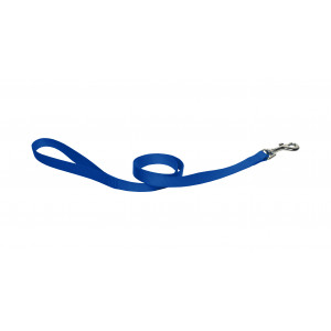 Nylon Hondenriem Blauw 120 cm x 10 mm