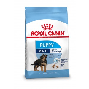 Royal Canin Maxi Puppy hondenvoer 4 kg