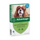 Advantage Nr. 100 vlooienmiddel (4 tot 10kg) hond