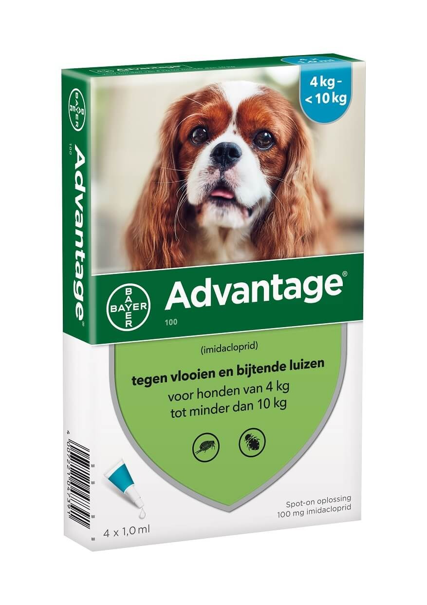Advantage Nr. 100 vlooienmiddel (4 tot 10kg) hond