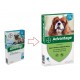 Advantage Nr. 100 vlooienmiddel (4 tot 10kg) hond