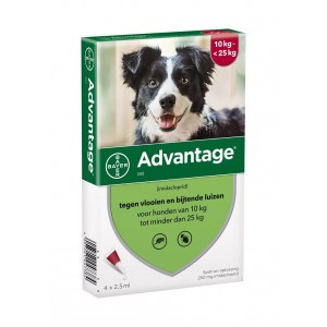 Advantage Nr. 250 vlooienmiddel (10 tot 25kg) hond Per verpakking