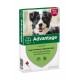 Advantage Nr. 250, vlooienmiddel voor honden
