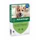 Advantage Nr. 400, vlooienmiddel voor honden