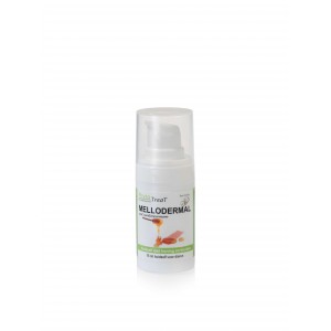 Afbeelding PhytoTreat Mellodermal Wondzalf Indoor 30 ml door Brekz.nl