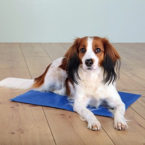 Afbeelding Koelmat voor honden L door Brekz.nl