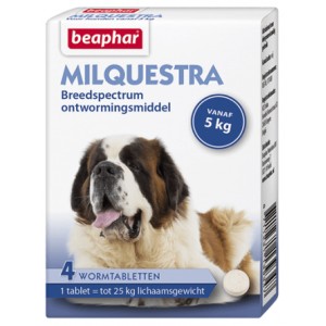 organiseren Centrum wees gegroet Beaphar producten voor uw hond | Voordelig online - Brekz.nl