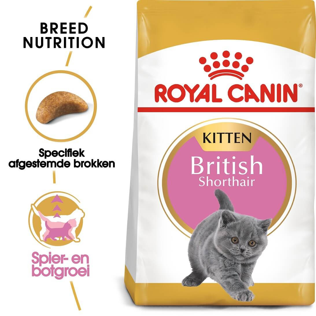 serie Manuscript ongezond Royal Canin British Shorthair Kitten kattenvoer - Goedkoop Bestellen