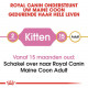Royal Canin Kitten Maine Coon kattenvoer