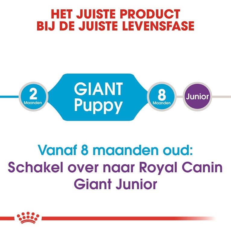 Kijker onderpand gelijkheid Royal Canin Giant Puppy hondenvoer kunt u eenvoudig bestellen bij