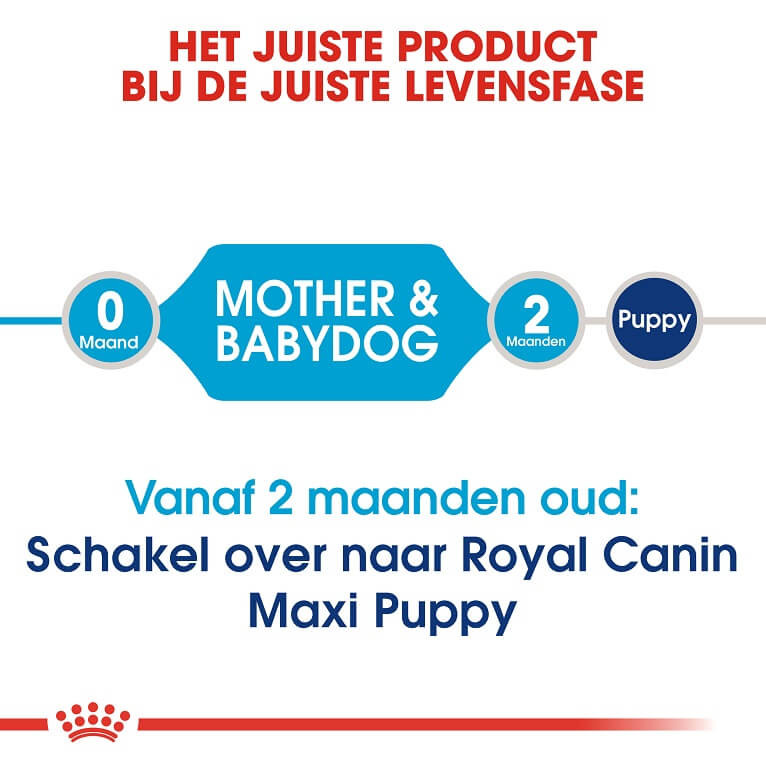 Royal Canin Maxi Starter Mother and Babydog