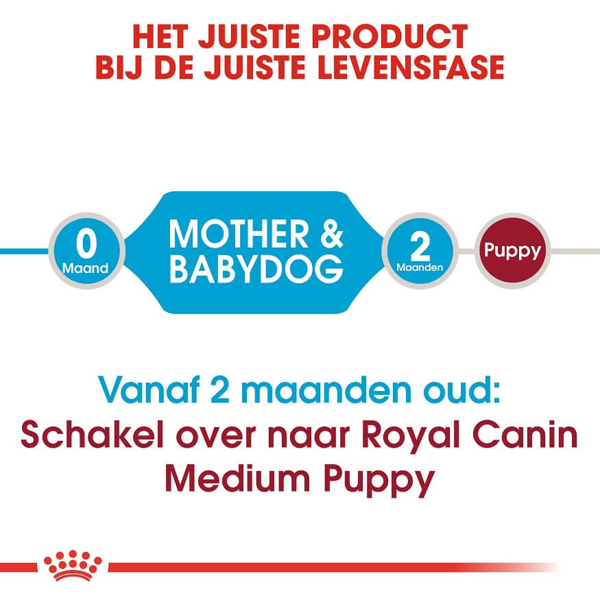 Royal Canin Medium Starter Mother and Babydog